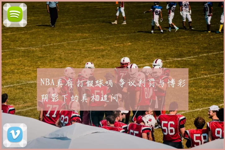 NBA真有打假球吗 争议判罚与博彩阴影下的真相追问